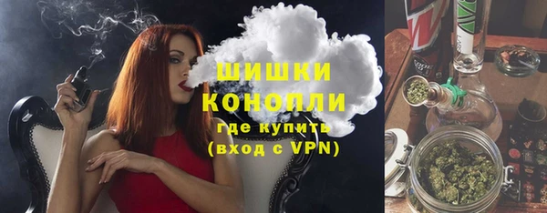 шишки Абинск