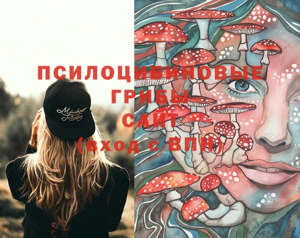 хмурый Осташков