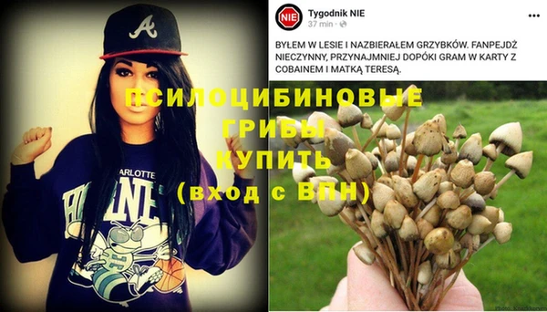 шишки Абинск