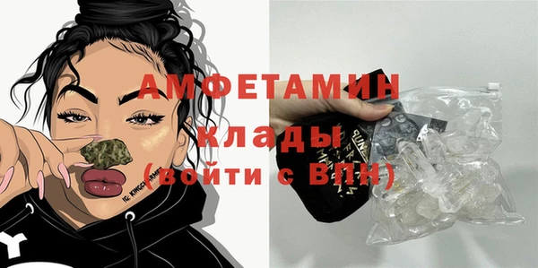 шишки Абинск