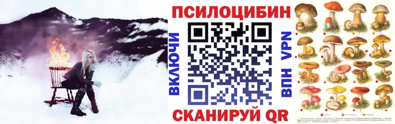 Псилоцибиновые грибы Psilocybe hydra зеркало Арсеньев
